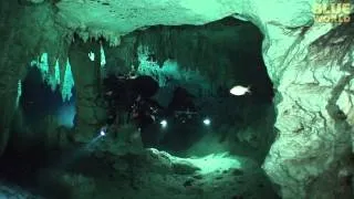 Divers Explore cenote in Mexico