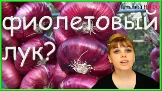 Ты, вообще, знал, что может ФИОЛЕТОВЫЙ ЛУК? Фиолетовый лук это...