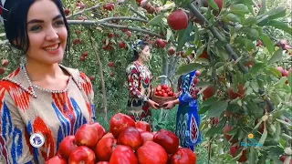 TAJIKISTAN IS A PARADISE OF THE SWEETEST FRUITS EVER IN THE WORLD/YOU GOT TO SEE THIS