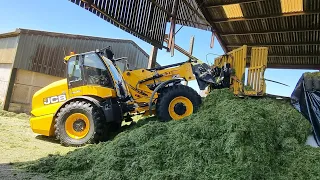 Wagon silage and a new JCB loader.