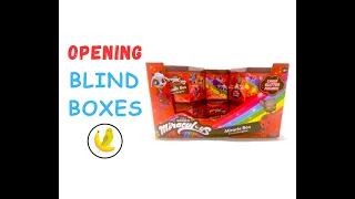 UNBOXING Miraculous Miracle Box Kwami Surprise - AN ENTIRE CASE OF 16!!!!!