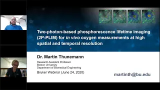 Two Photon PLIM | in vivo Oxygen Measurements at High Spatial and Temporal Resolution | Bruker