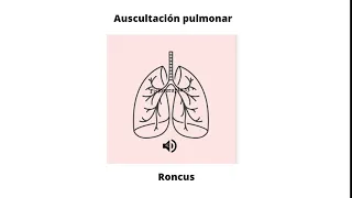 Ruidos respiratorios agregados - Roncus