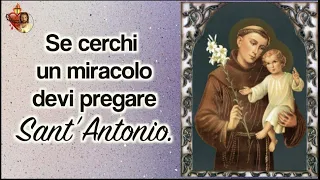 Se cerchi un miracolo devi pregare Sant’Antonio