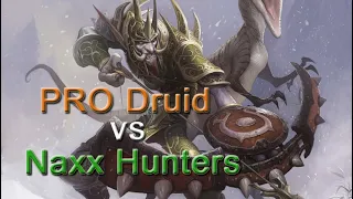 Pro druid vs naxx hunters. WoW Classic druid PvP