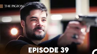 The Pigeon Episode 39 (FULL HD)