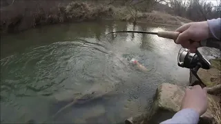 Big Palomino Trout Caught On Opening Day Of Trout |SW PA|