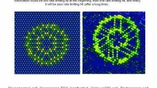 Diffusion and Evolution of cancer on cellular automaton implemented using molecular assembly