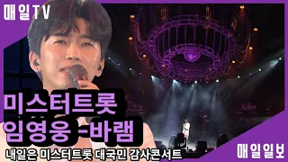 [매일TV] 임영웅(Lim YoungWoong) 미스터트롯 콘서트(Mister Trot concert) 오프닝 무대