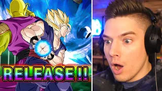 NEW Dokkan Summon Animations on LR Beast Gohan Summons: The Movie