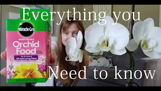 Moth/Phalaenopsis orchid care for beginners -- How to grow happy, healthy orchids that REBLOOM
