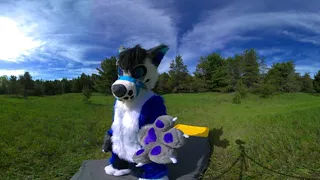 It's a Bird... It's a Plane... It's.. a FURRY? oh wait, it really is an airplane