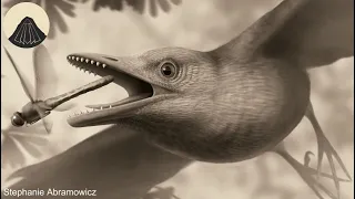 Why did Birds Lose their Teeth?