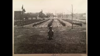 Former Bulls Head resident recounts Staten Island's past farm life