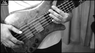 Are you with me - Lost Frequencies [Bass Cover/Lesson with TAB/Score]