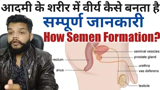 शरीर मे वीर्य कैसे बनता है / Sperm or Semen Formation Explained In Hindi / Gyanear