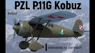 PZL P.11G Kobuz | jedenastka na sterydach