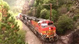 BNSF freight train climbs the steep Rocky mountain grade at full throttle.