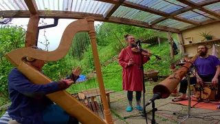 A Groovy Garden Jam • Techno Beats in the Rain with Harp, Violin, Voice, Didgeridoo, and Cajon!