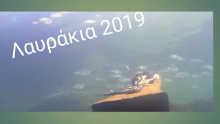 Spearfishing seabass 2019 Ψαροντουφεκο Λαυρακια 2019