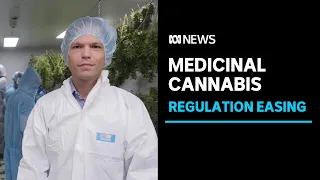 Australian medicinal cannabis industry on cusp of major expansion | ABC News