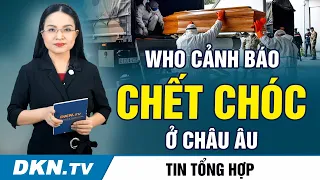 Tin tổng hợp sáng 24/11: Quan hệ Việt - Nhật lên tầm cao; Pháp triệt phá băng đảng có người Việt