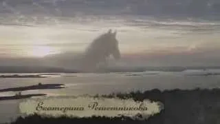 Съемки лошади на свободе в фильме "Так далеко, так близко". Trained horses for film, TV, advertising