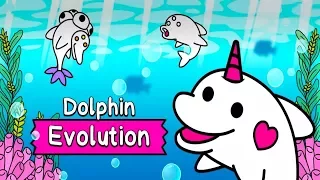 Dolphin Evolution IOS / Android TAPPS GAMEPLAY