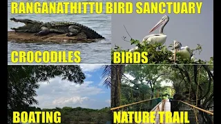 Ranganathittu Bird Sanctuary Mysore - Home to Deadly Crocodiles and Cute Birds l Mysore Tourism