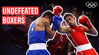 Top 12 Longest Undefeated Boxers 🥊