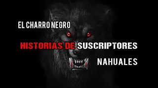 El Nahual Gris, El Perro Grande Y El Anciano Del Minisuper. HISTORIAS De Terror De Suscriptores