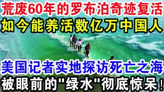 荒废60年的罗布泊奇迹复活，如今能养活数亿万中国人，美国记者实地探访死亡之海，被眼前的“绿水”彻底惊呆！