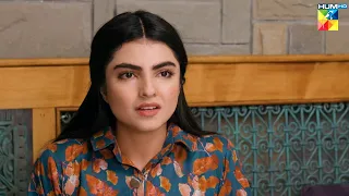 Kya Daniyal Ne Kabi Mohabbat Ka Izhaar Kiya... #mamia #bilalqureshi - Meesni - HUM TV