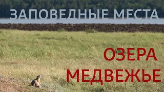 ЗАУРАЛЬЕ - ЭТО ИНТЕРЕСНО! Шедевры природы: "Заповедные места озера Медвежье"