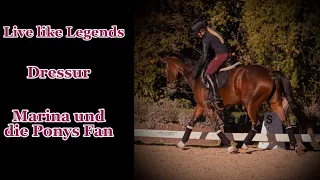 Live Like Legends (Dressur) FMV/Marina und die Ponys Fan