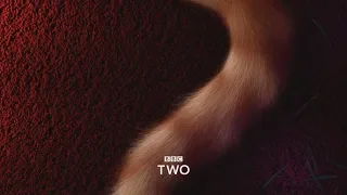 BBC Two Ident | Cosy (Clean, 28s) | Christmas 2018-2019