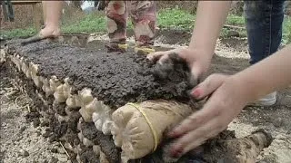 Sustainable habitat in Colombia: building homes with plastic bottles