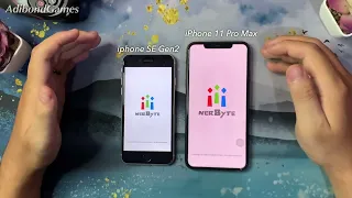 iPhone SE 2020 vs iPhone 11 Pro Max