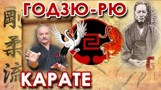 Традиционное Окинавское Годзю-рю Карате-до.