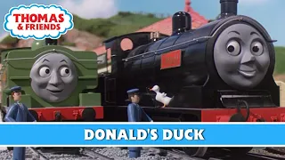 Donald's Duck | Headmaster Hastings Cover | Song | Thomas & Friends
