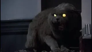 Pet Sematary 1989 review
