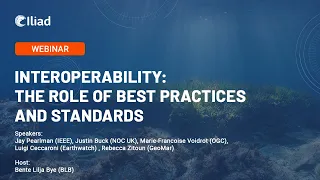 Interoperability: the role of best practices and standards