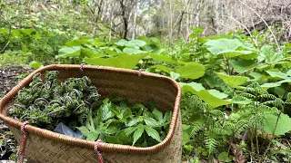 山菜採りから始まる料理人の1日