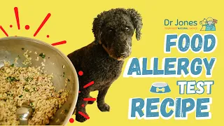 Best Dog Food Allergy Test