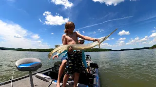 Tenkiller Lake Fishing Bluff Walls Crazy Surprise In This Video!!
