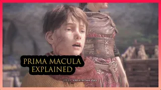 Prima Macula Explained - A Plague Tale: Innocence
