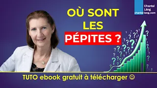 Ebook gratuit "Comment Trouver Les Pépites Du Prochain Bull Run"