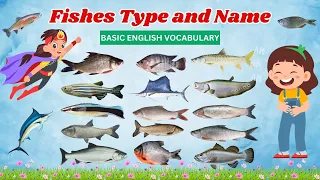 Learn Fishes Types and Pictures - Names of Fishes in Sea - Ocean Life and Fishes Name - Moko Loko Tv