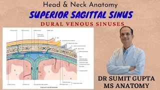 SUPERIOR SAGITTAL SINUS || Features || Tributaries || Applied Anatomy ||