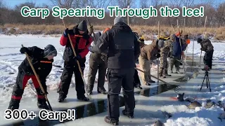 Insane Action! Carp Spearing Through the Ice!